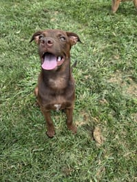Emmy Lou - Photo 6