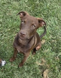 Emmy Lou - Photo 3