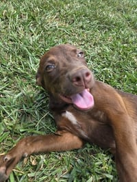 Emmy Lou - Photo 8