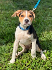 Maverick - Photo 2