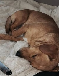 Finn Two - Photo 6