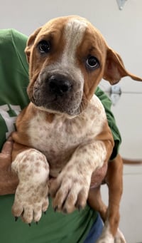 Cake - Photo 1