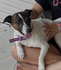 Sadie Mae - Photo 3