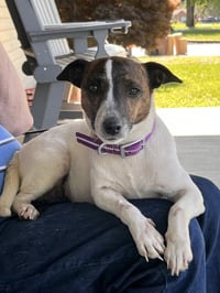 Sadie Mae - Photo 2