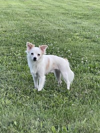Fluffy - Photo 3