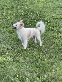 Fluffy - Photo 5