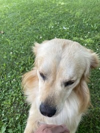 Luke - Photo 4