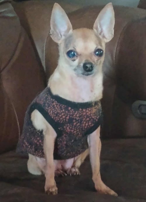 LIL' DANIELLE
