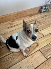 Sampson *FTA* - Photo 13
