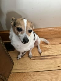 Sampson *FTA* - Photo 11