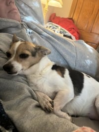 Sampson *FTA* - Photo 5