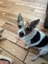 Sampson *FTA* - Photo 10