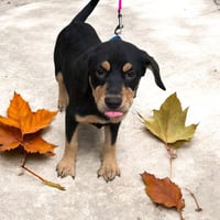 Darla - Photo 2