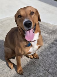 Max - Photo 3