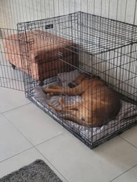 Max - Photo 5
