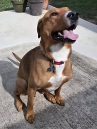 Max - Photo 4
