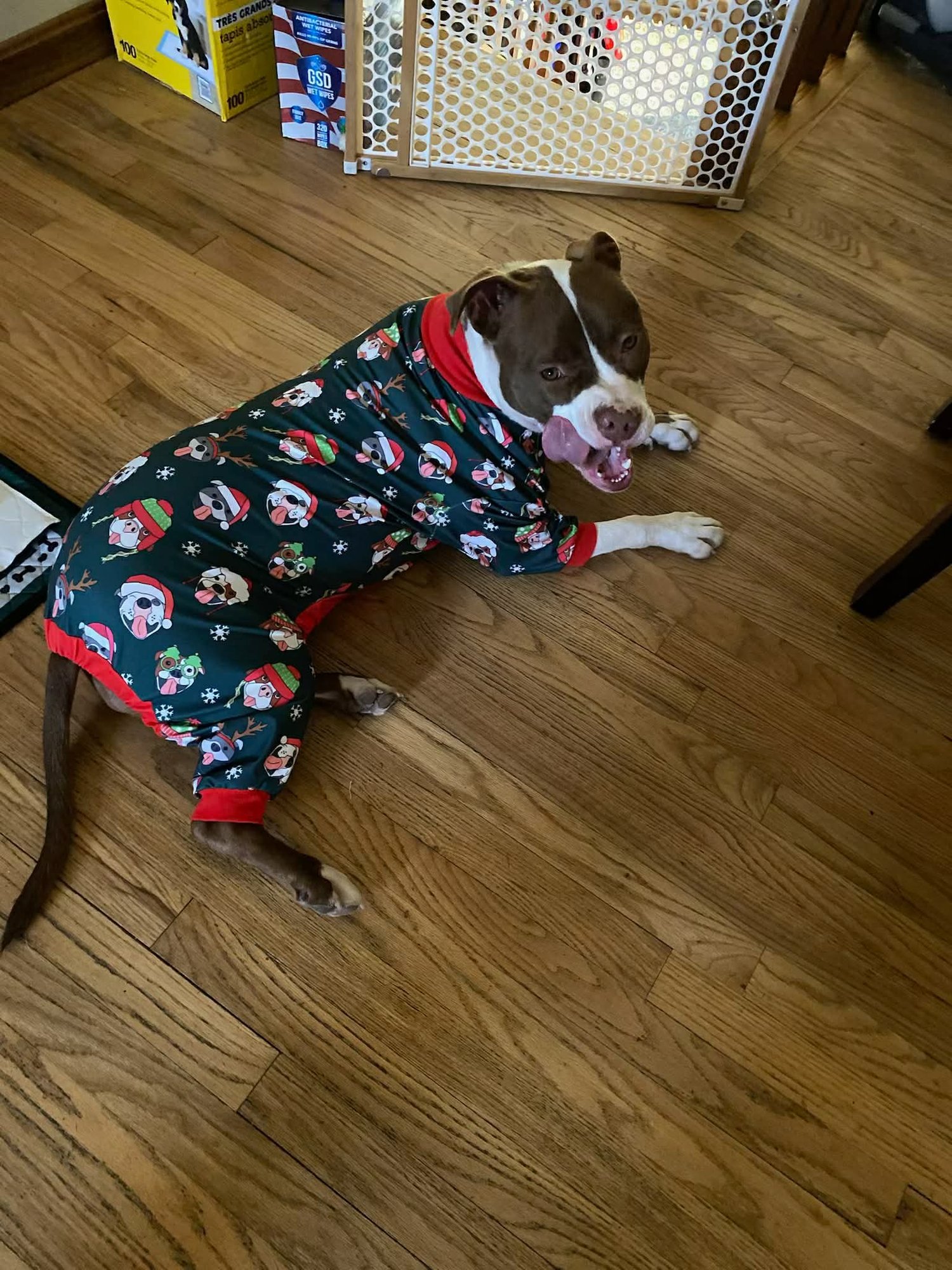 Gigi Michelle - Photo 3