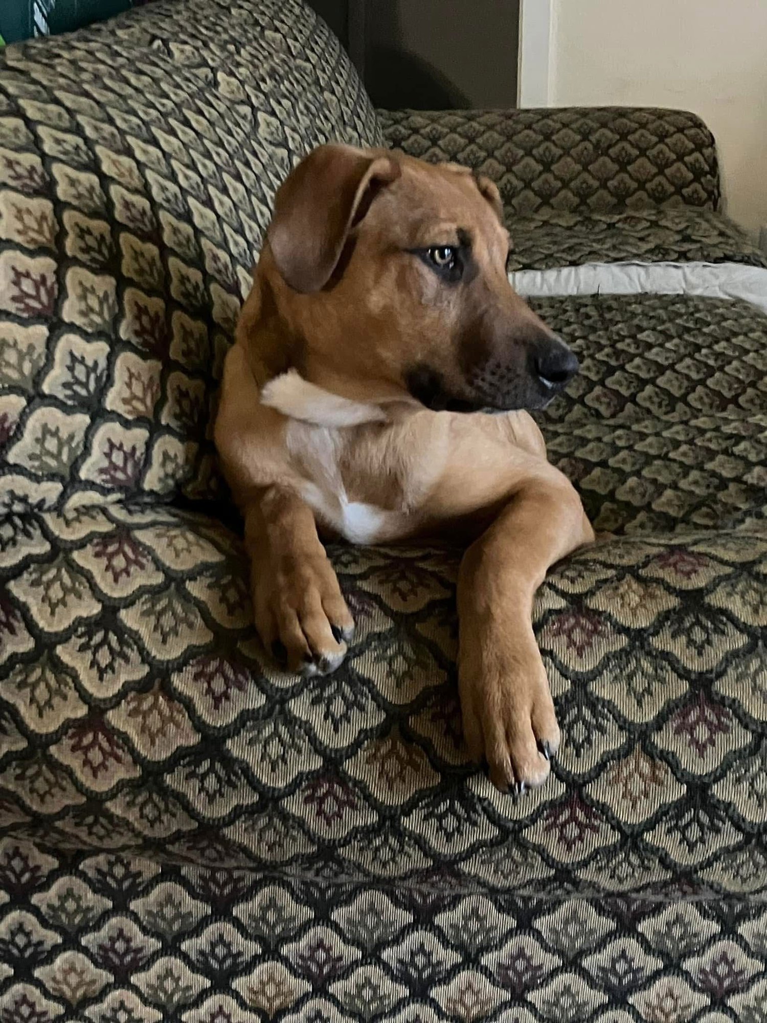 Green Bean - Photo 13