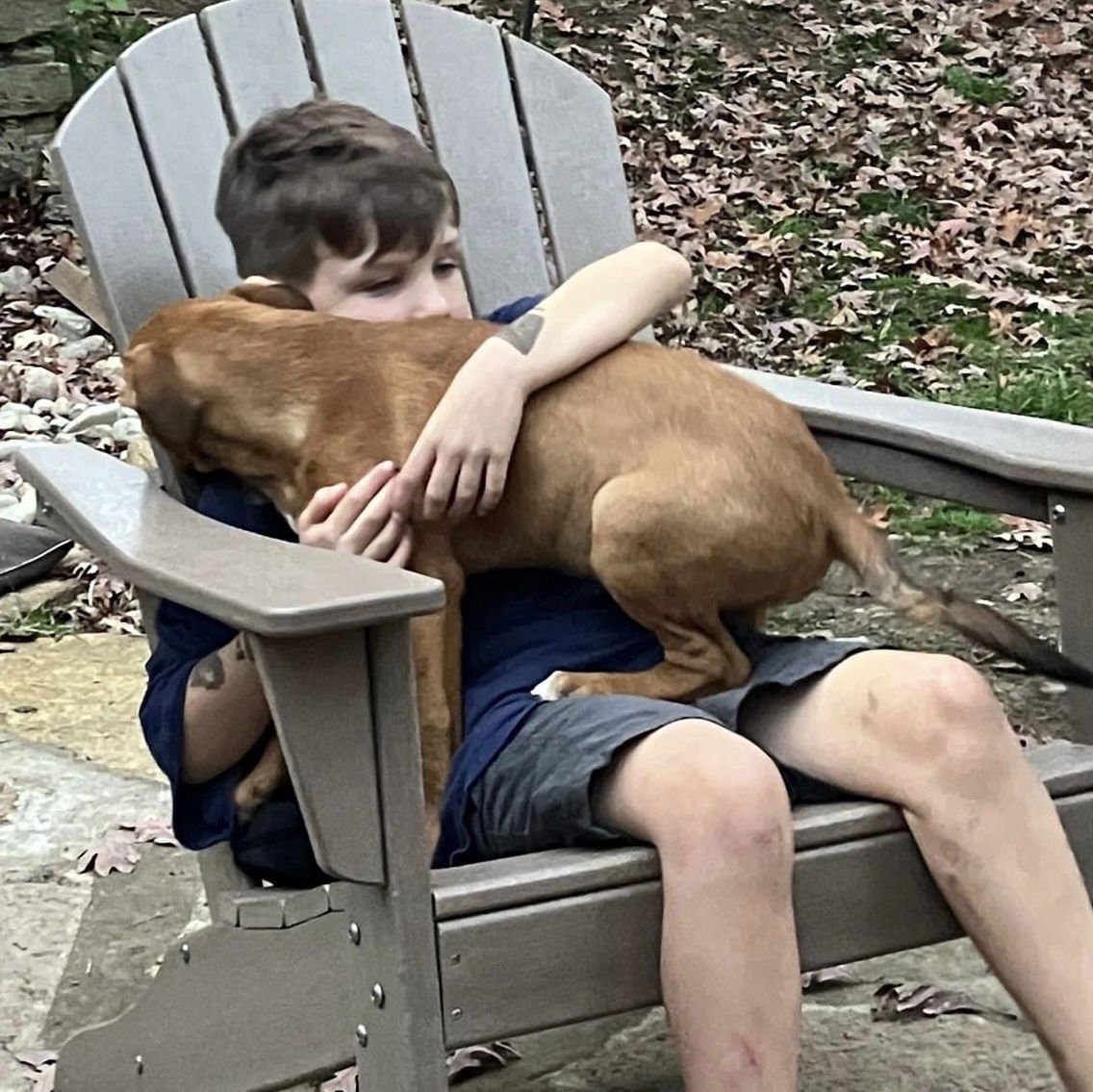 Green Bean - Photo 20