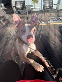 Ears McGee - Photo 1