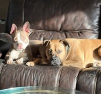 Ears McGee - Photo 3