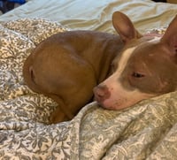 Ears McGee - Photo 4