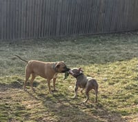 Ears McGee - Photo 5