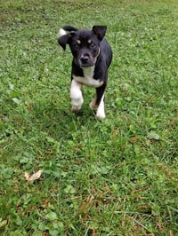 Tala - Photo 1