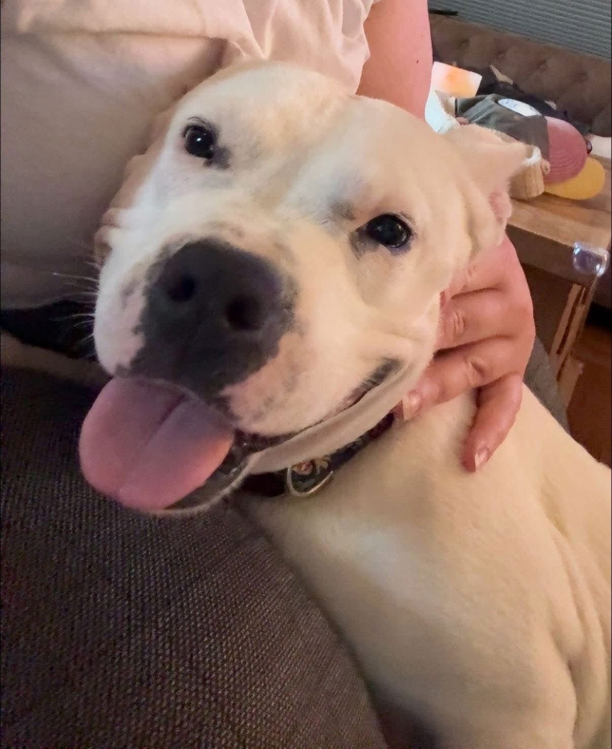 Princess Brisket - Photo 8