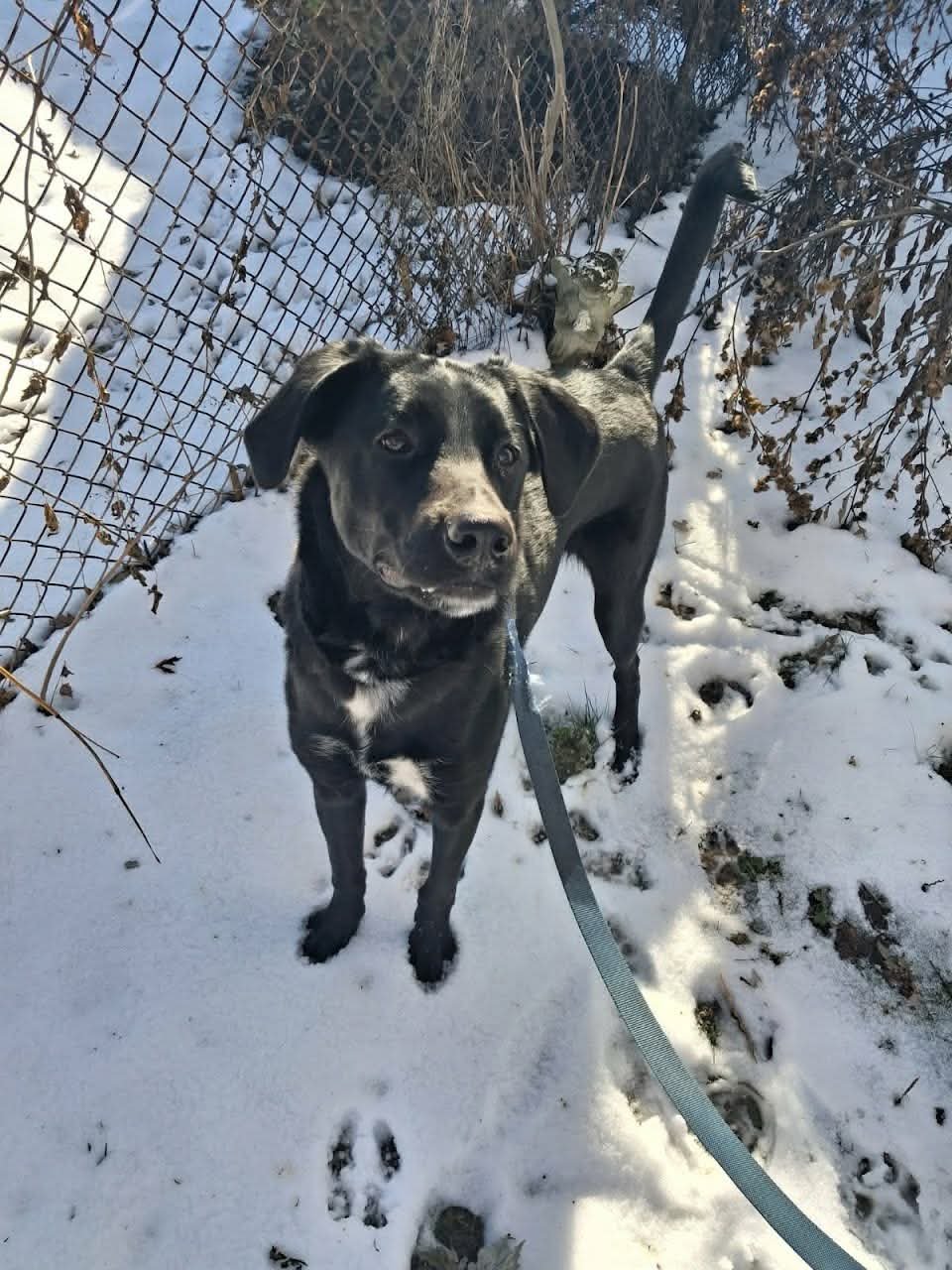 Bruce Marvel - Photo 3