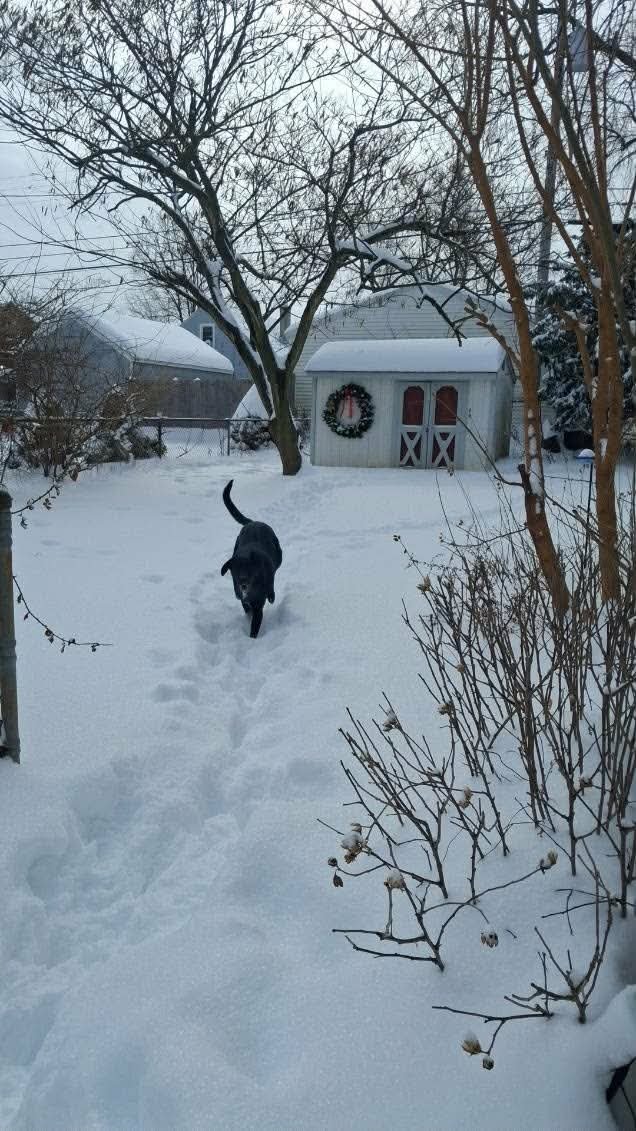 Bruce Marvel - Photo 4