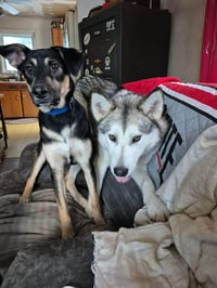 Luna at Large - Photo 3