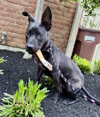 Ardmore - Photo 3