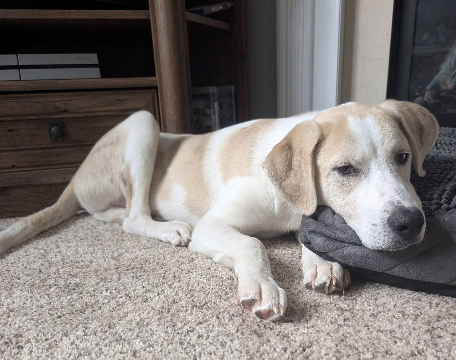 Baby Billy - Photo 3