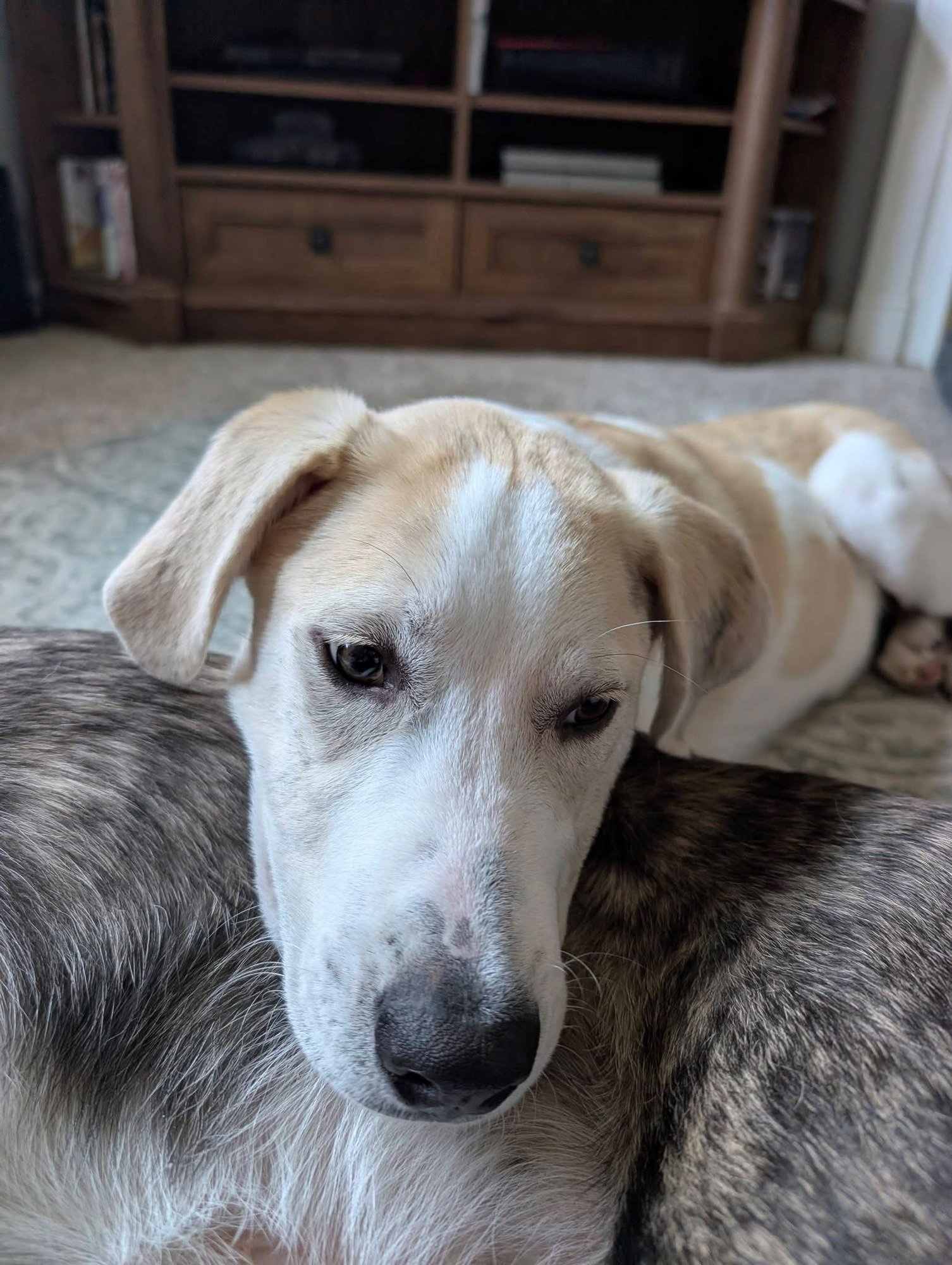 Baby Billy - Photo 4