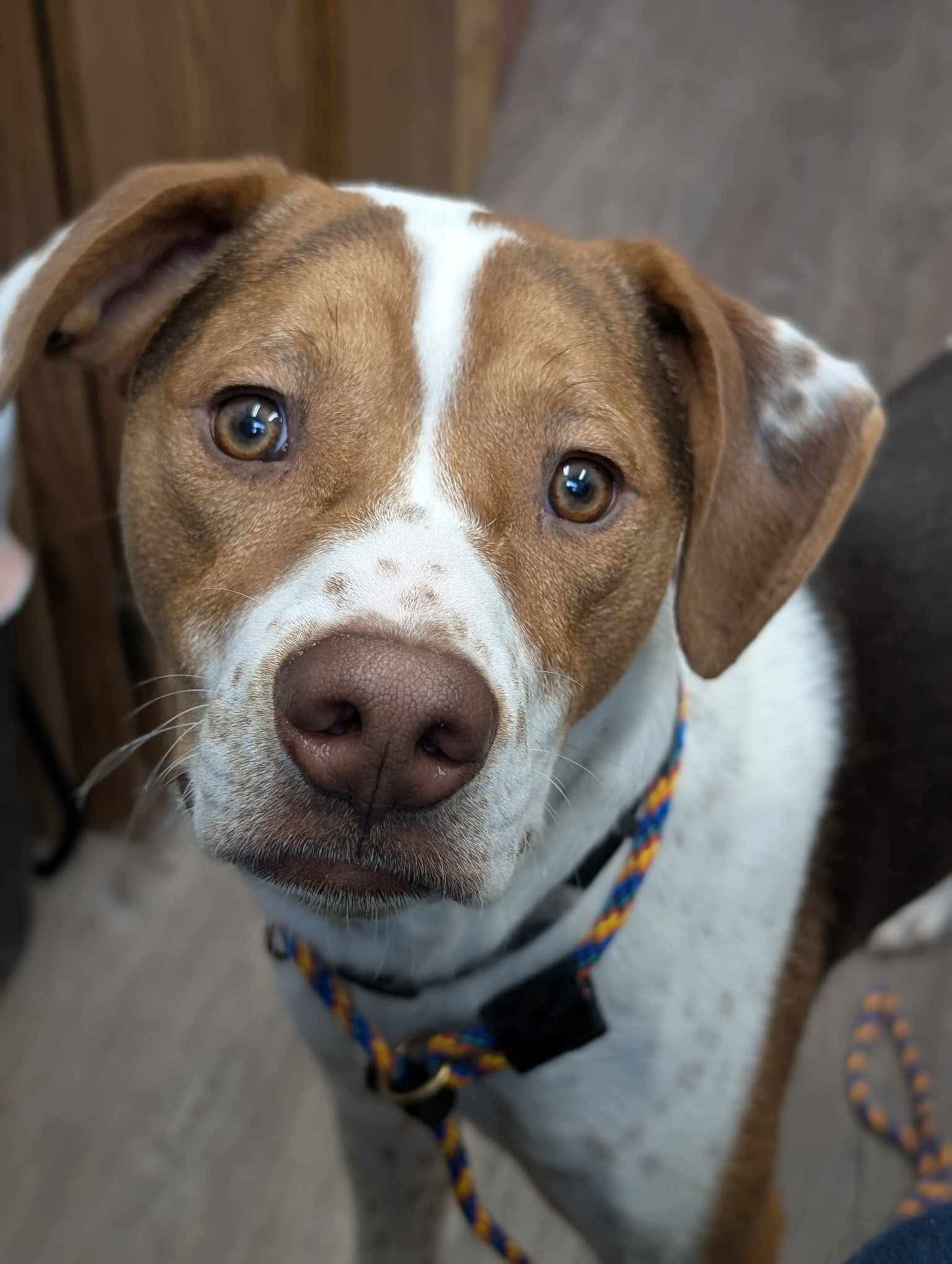 Bacon Bit - Photo 16