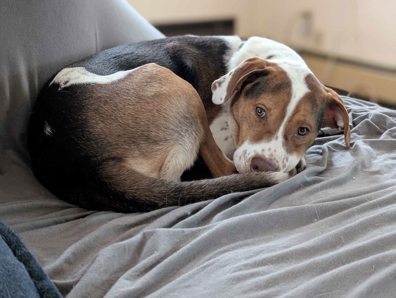 Bacon Bit - Photo 18