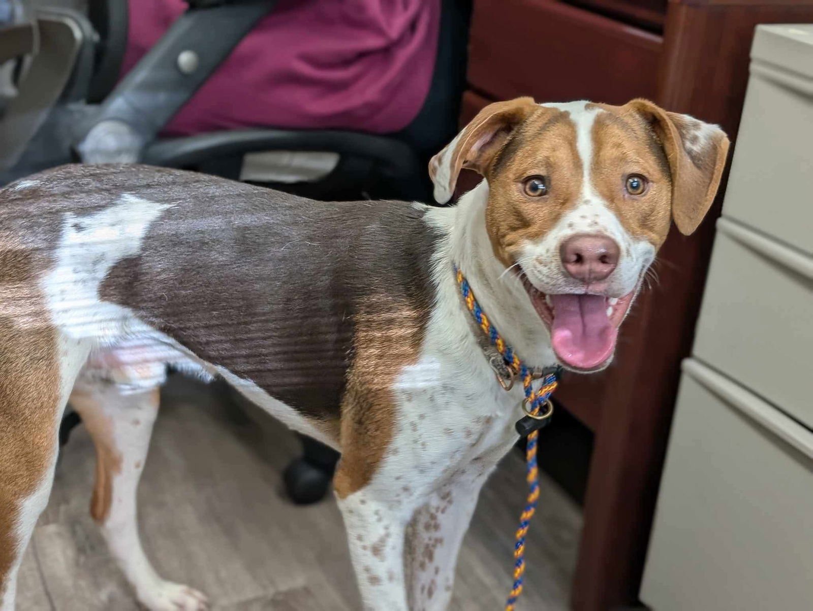 Bacon Bit - Photo 20