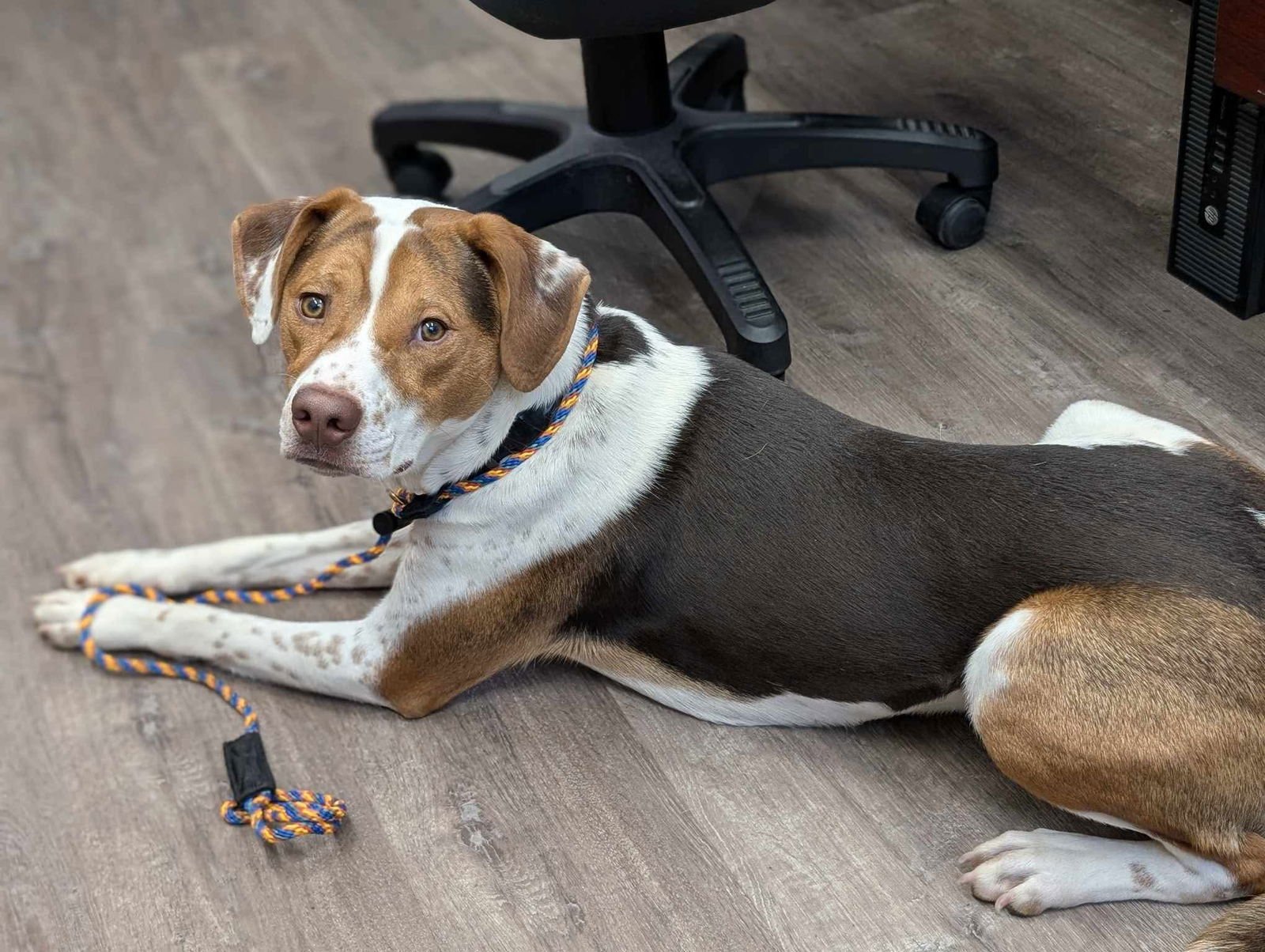 Bacon Bit - Photo 21