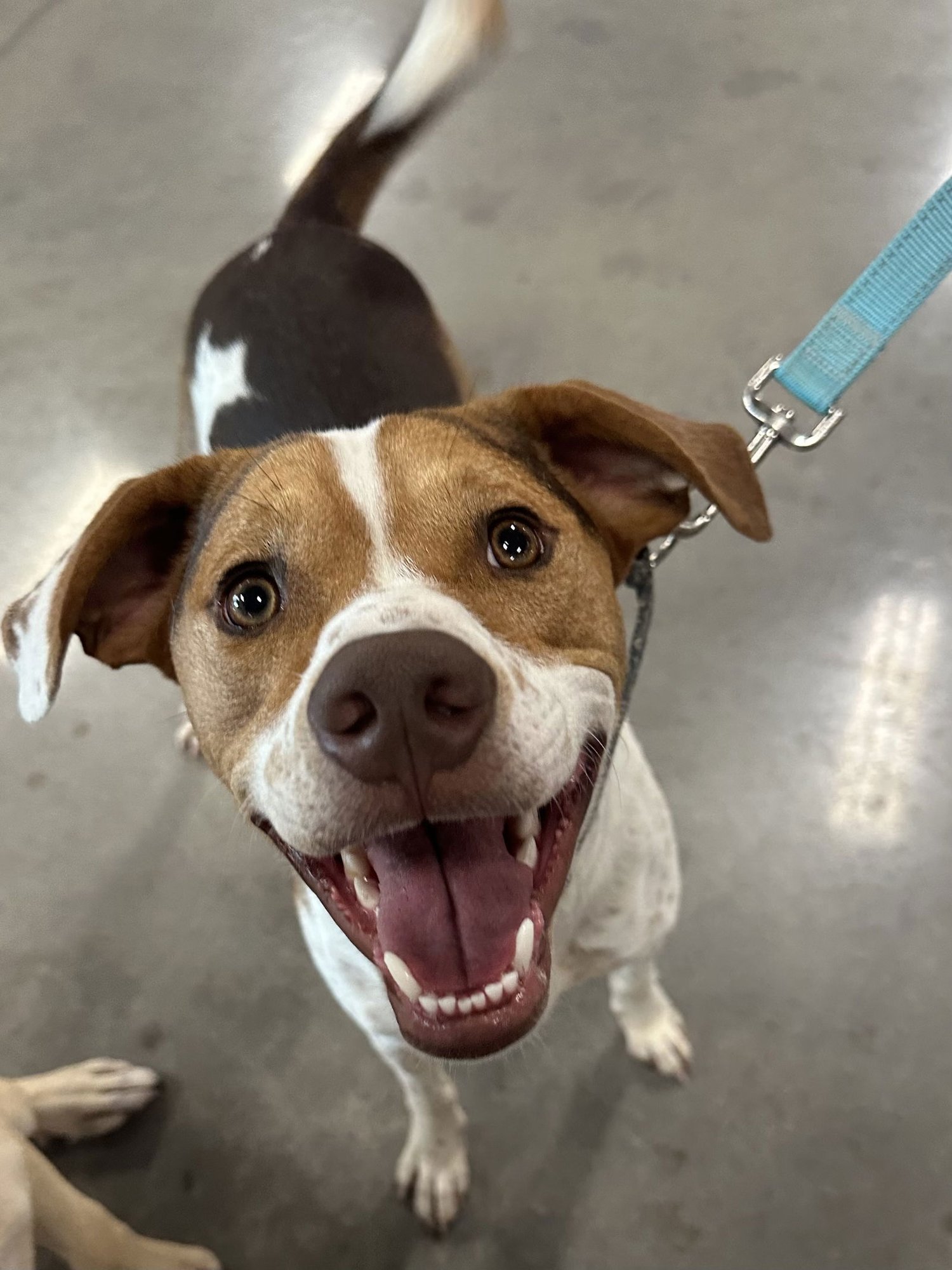 Bacon Bit - Photo 22