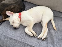 Greenwich - Photo 5