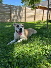 Luria - Photo 2