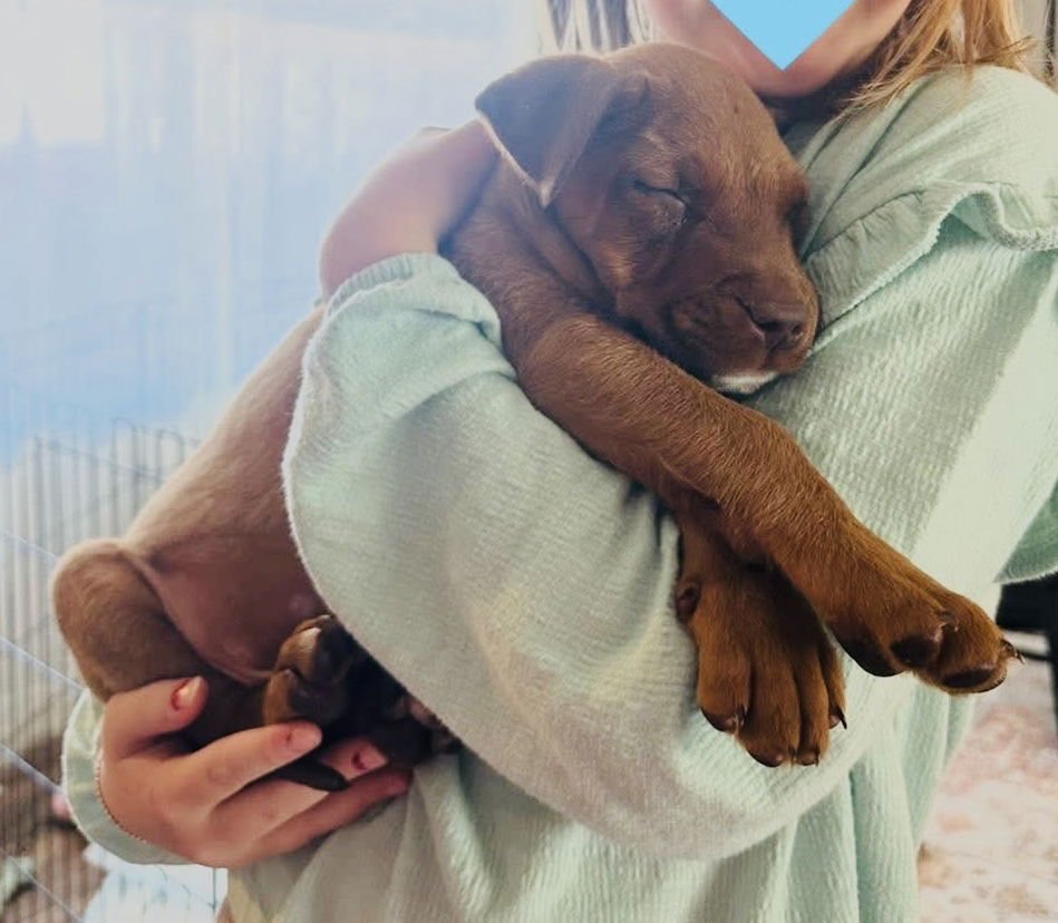 Daddy Dewdrop - Photo 3