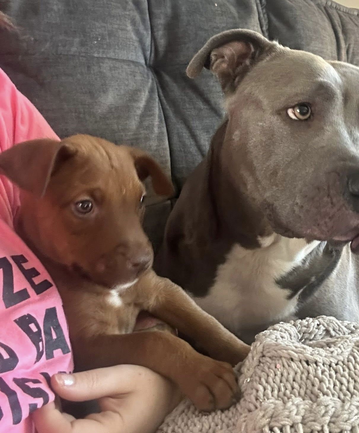 Daddy Dewdrop - Photo 4