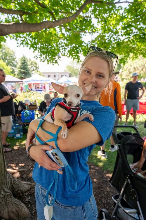 SCOOPS - Chihuahua available for adoption