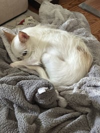 Casey - Photo 3