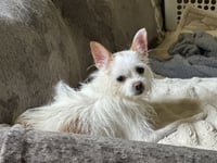 Casey - Photo 4