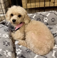 Darla - Photo 2