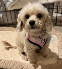 Darla - Photo 1