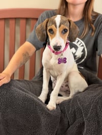 Zelda - Photo 2